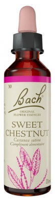 Florais de Bach Original Sweet Chestnut 20 ml