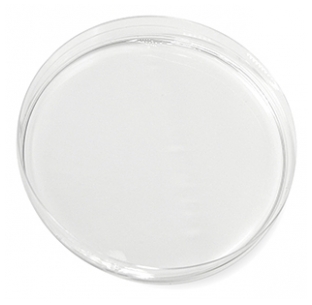 Redken Sérum Redensifiant Stémoxydine 5% Thickening