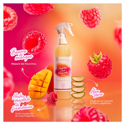 Les Secrets de Loly Spray Hydratant Cocktail Curl Remedy 310 ml