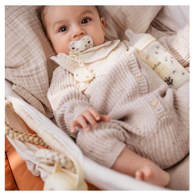 Porta Chupetas Suavinex Birdies 0 Meses e +