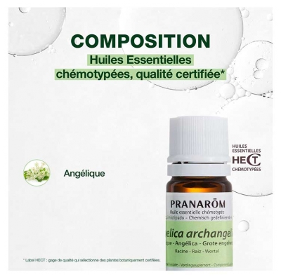 Pranarôm Huile Essentielle d'Angélique 5 ml