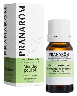 Pranarôm Eterisk Olja Polyvalent Mynta 10 ml