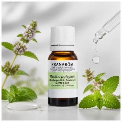 Pranarôm Etherische Olie Polei-Munt 10 ml
