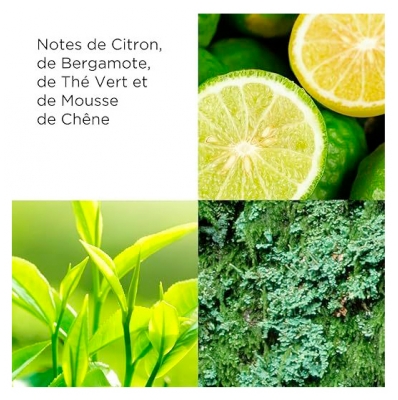 Elizabeth Arden Green Tea Gel Énergisant pour le Bain 200 ml