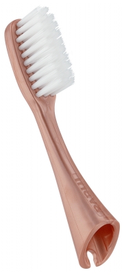 Inava Power 2 Têtes de Brosse de Rechange Sensibilité - Couleur : Or Rose