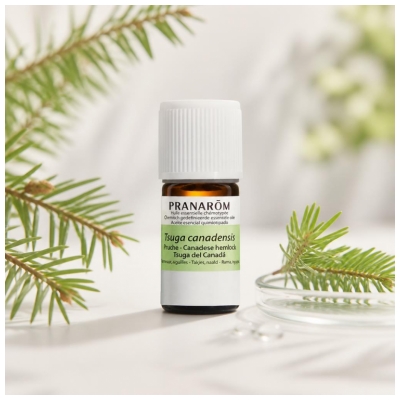 Pranarôm Hemlock Essential Oil (Tsuga Canadensis) 5 ml