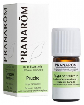 Pranarôm Hemlock (Tsuga Canadensis) Olio Essenziale 5 ml