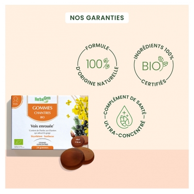 HerbalGem Gommes Chantres Bio 24 Gommes