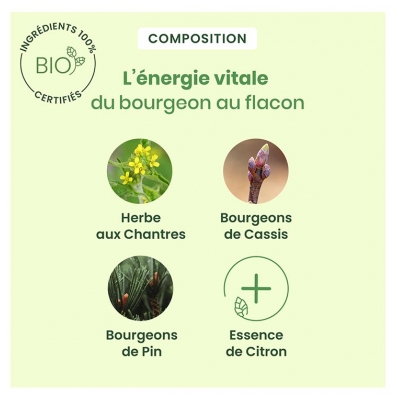 HerbalGem Gommes Chantres Bio 24 Gommes