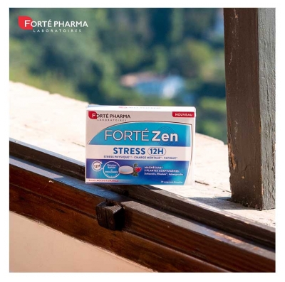 Forté Pharma Forté Zen Stress 12H 20 Tabletek Dwuwarstwowych