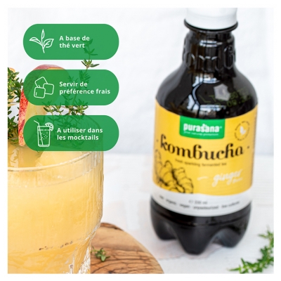 Purasana Kombucha Saveur Gingembre Bio 330 ml