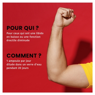 Santarome Maca 1500 Tribulus Ginseng Gingembre 20 Ampoules