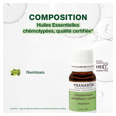 Pranarôm Huile Essentielle Ravintsara (Cinnamomum camphora CT cinéole) 10 ml