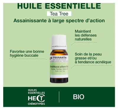 Pranarôm Huile Essentielle Tea-Tree (Melaleuca alternifolia) Bio 10 ml