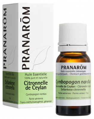 Pranarôm Olio Essenziale di Citronella di Ceylon (Cymbopogon Nardus) 10 ml