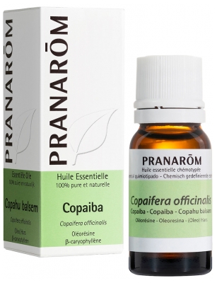 Pranarôm Ätherisches Öl Copahu Balsam (Copaifera officinalis) 10 ml