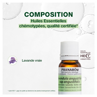 Pranarôm Huile Essentielle Lavande Vraie (Lavandula angustifolia) 10 ml
