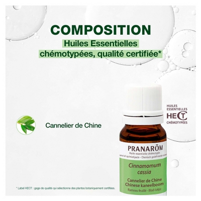 Pranarôm Huile Essentielle Cannelier de Chine (Cinnamomum cassia) 10 ml