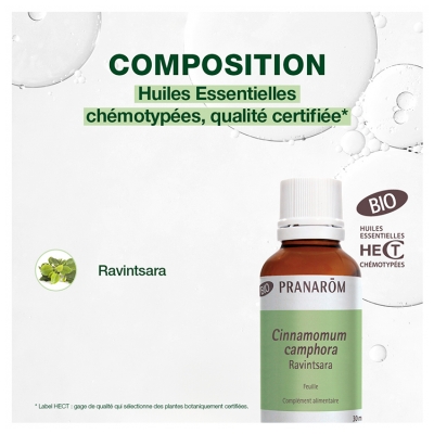 Pranarôm Huile Essentielle Ravintsara (Cinamommum camphora CT cineole) Bio 30 ml