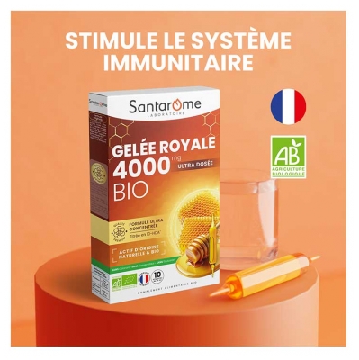 Santarome Ruche Royale Gelée Royale 4000 mg Bio 10 Ampoules