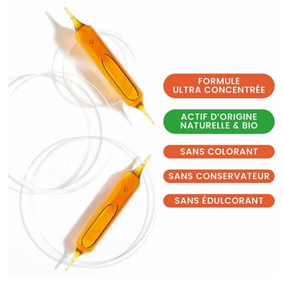 Santarome Ruche Royale Gelée Royale 4000 mg Bio 10 Ampoules