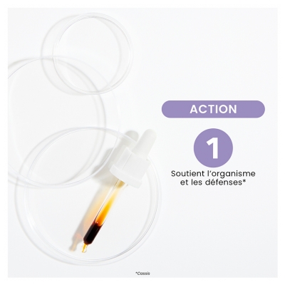 Santarome Cassis Bio 30 ml