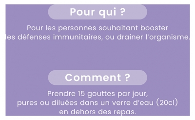 Santarome Cassis Bio 30 ml