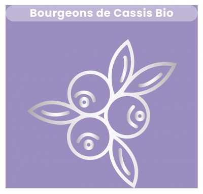 Santarome Cassis Bio 30 ml