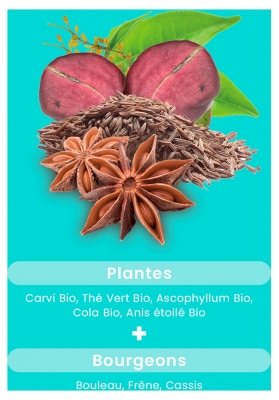 Santarome Bio Ventre Plat Bio 30 Comprimés