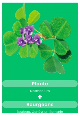 Santarome Phyto Desmodium 2500 30 Gélules