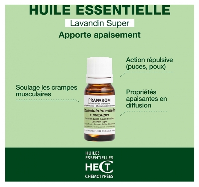 Pranarôm Huile Essentielle Lavandin Super (Lavandula intermedia clone super) 10 ml