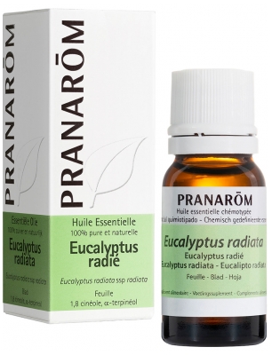 Pranarôm Eukalyptus Ätherisches Öl Bestrahlt (Eucalyptus radiata) 10 ml