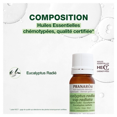 Pranarôm Huile Essentielle Eucalyptus Radié (Eucalyptus radiata) 10 ml
