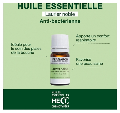 Pranarôm Huile Essentielle Laurier Noble (Laurus nobilis) 5 ml
