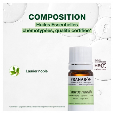 Pranarôm Huile Essentielle Laurier Noble (Laurus nobilis) 5 ml