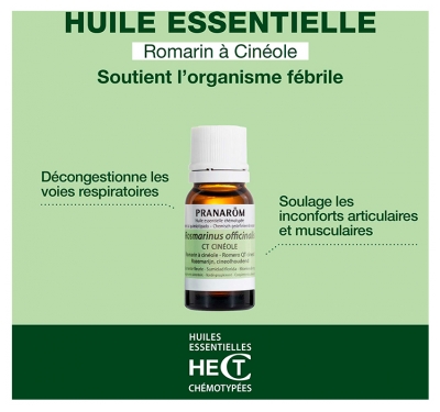 Pranarôm Huile Essentielle Romarin à Cinéole (Rosmarinus officinalis CT cinéole) 10 ml