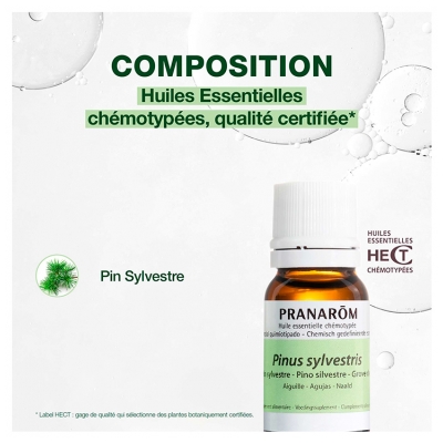 Pranarôm Huile Essentielle Pin Sylvestre (Pinus sylvestris) 10 ml