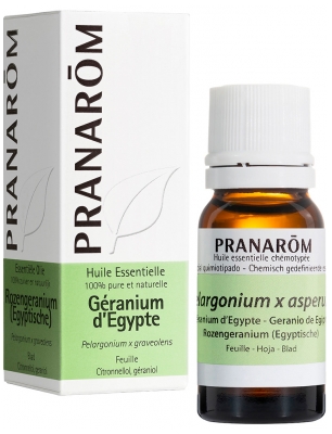 Pranarôm Ätherisches Öl Geranium aus Ägypten (Pelargonium x asperum) 10 ml