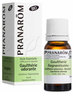 Pranarôm Bio Essential Oil Wintergreen (Gaultheria fragrantissima) 10 ml