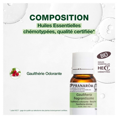 Pranarôm Huile Essentielle Gaulthérie Odorante (Gaultheria fragrantissima) Bio 10 ml