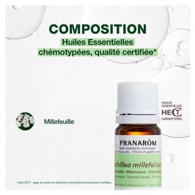 Pranarôm Huile Essentielle Millefeuille (Achillea millefolium) 5 ml