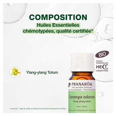 Pranarôm Huile Essentielle Ylang-Ylang Totum (Cananga odorat) Bio 5 ml