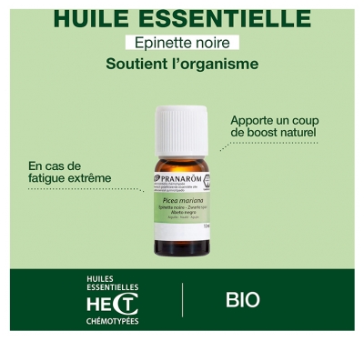 Pranarôm Huile Essentielle Epinette Noire (Picea mariana) Bio 10 ml