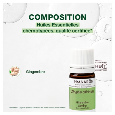 Pranarôm Huile Essentielle Gingembre (Zingiber officinale) 5 ml