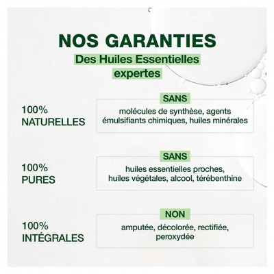 Pranarôm Huile Essentielle Romarin à Verbénone (Rosmarinus officinalis CT verbénone) Bio 5 ml