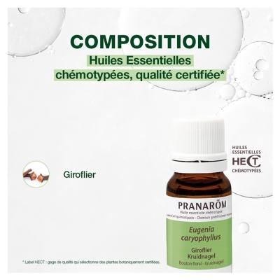 Pranarôm Huile Essentielle Giroflier (Eugenia caryophyllus) 10 ml