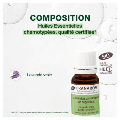 Pranarôm Huile Essentielle Lavande Vraie (Lavandula angustifolia) Bio 10 ml