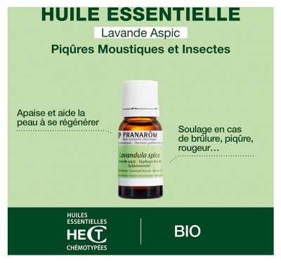 Pranarôm Huile Essentielle Lavande Aspic (Lavandula latifolia) Bio 10 ml