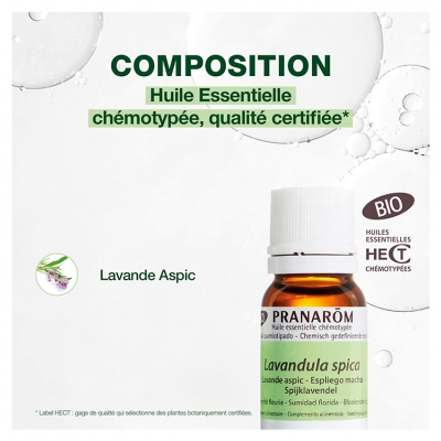 Pranarôm Huile Essentielle Lavande Aspic (Lavandula latifolia) Bio 10 ml