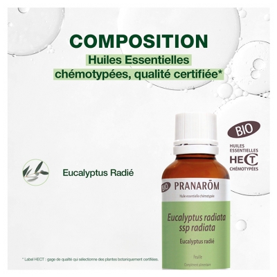 Pranarôm Huile Essentielle Eucalyptus Radié (Eucalyptus radiata ssp radiata) Bio 30 ml